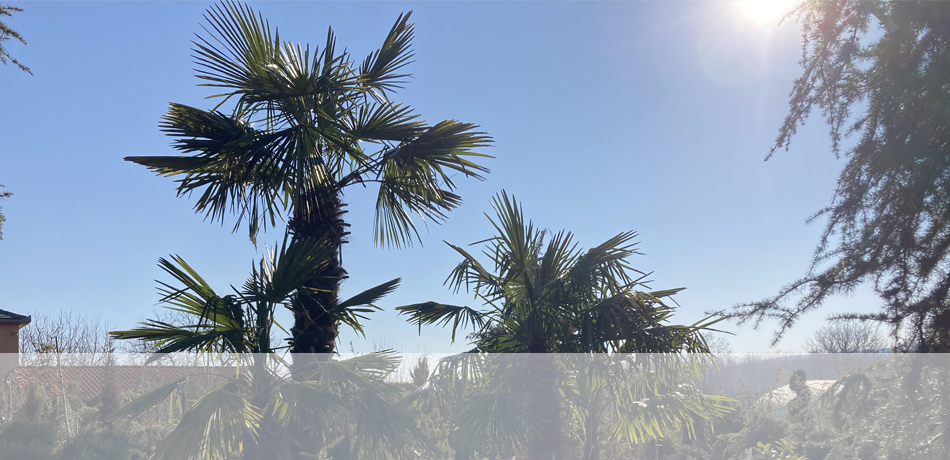 greenworldkerteszet.unas.hu