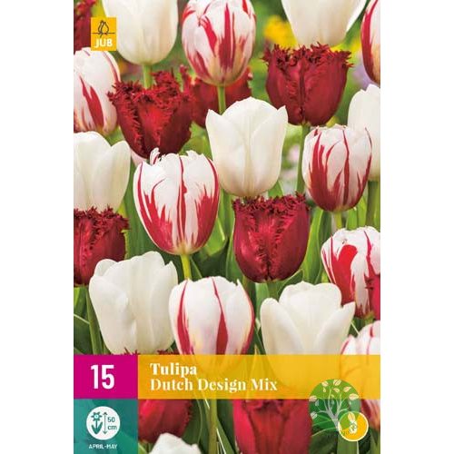 Tulipán "dutch design mix" 15db