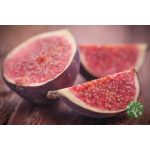 Ficus carica 'Early Violet' – Füge